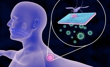 Carbon-Based Nanoparticles to Help Eradicate the Yellow Fever Mosquito