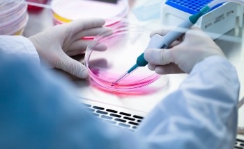 Helping Researchers Make Engineered Nanomaterials Safer
