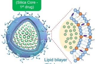 How Nanoscience Innovation is Helping to Tackle Pancreatic Cancer