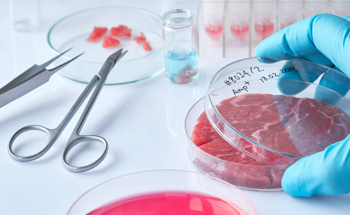 Using Electrospun Nanofibers to Produce Cultured Meat