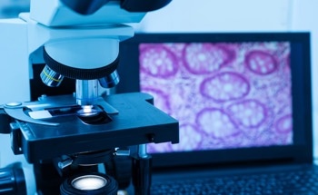 Understanding Cytotoxicity