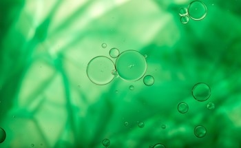 Can Quantum Dots Go Green?