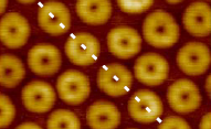 AFM Studies of Self-Assembled Semi-Fluorinated Alkanes