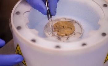 Sample Preparation for Electron Microscopy