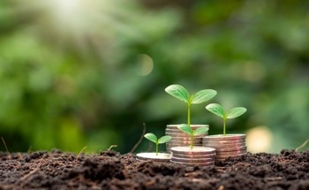 The Economic Benefits of Nanofertilizers