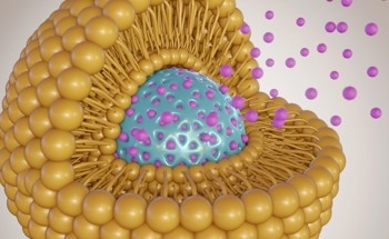 What is Ceramic Nanotechnology?