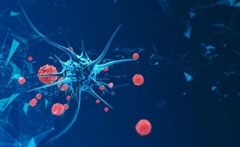 How Does Nanoparticle Size Impact Tumor Treatment?