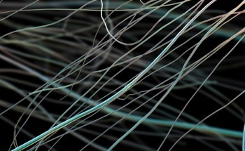 SEM Imaging of Nanofiber Morphology and Size Distribution