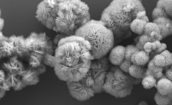 Designing a Less Toxic Method for MXene Synthesis