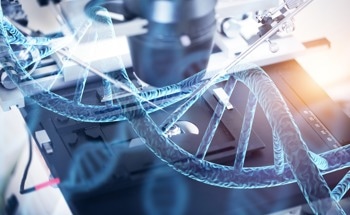 Can Thermal Analysis Be Applied to Nanobiotechnology?