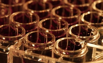 Spectroscopic Techniques for Optoelectronic Materials Analysis
