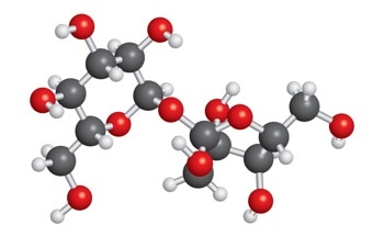 What is a Carbohydrate Polymer?