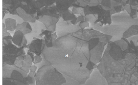 Exploring Graphene Through SEM and Raman Spectroscopy