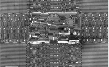 Exploring Microelectronic Circuit Voltage Contrast