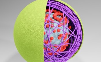 Polymeric Nanoparticles: Properties and Applications