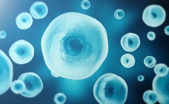 Applications of Liquid Cell TEM