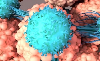 Pinpoint Precision for CAR-T Cell Therapy With Nanoneedles
