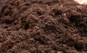 Applying Nanotechnology to Soil Improvement Techniques