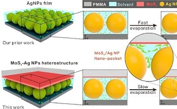 Nano-Pocket Captures Target Molecules in New, Sensitive SERS