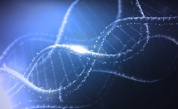 Combining Carbon Nanotubes and DNA Technologies