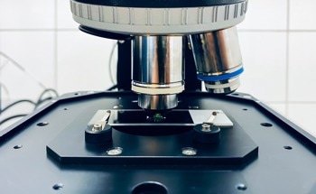 How Advanced Microscopy Techniques Have Evolved Over Time