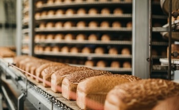 The Hurdles Facing Nanotechnology in the Food Industry