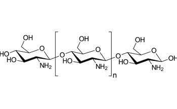 The Effect of Heat Treatment on Chitosan Nanocomposites