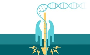 The Challenges with Engineering Functional Nanopores