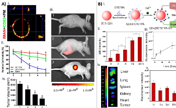 The Recent Developments in Using Cadmium-free Quantum Dots