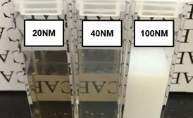 How are Fluorescent Nanodiamonds Used in Bioimaging