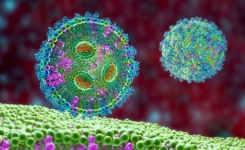 Challenges in Formulating Oral Lipid Nanoparticle-Based Drugs