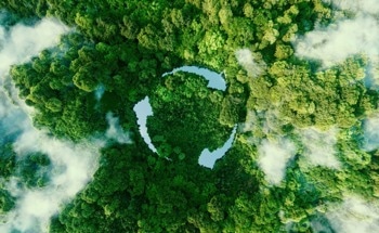 2D Materials and a Circular Economy: Roadblocks for Sustainability