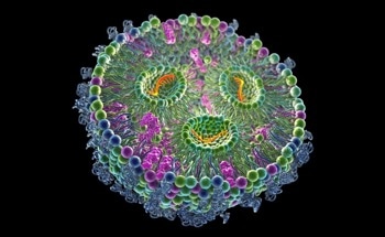 Lipid Nanoparticle Formulation | A Guide