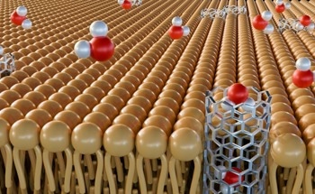How Are Nanopores Used in DNA Sequencing Applications?