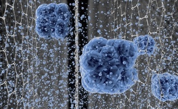 Graphene Membranes: Applications in Modern Water Purification