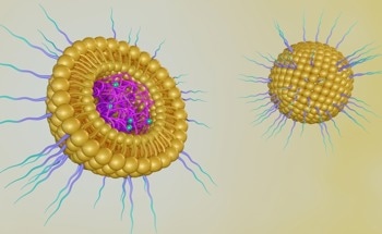 How are Nanoparticles Used for Drug Delivery?