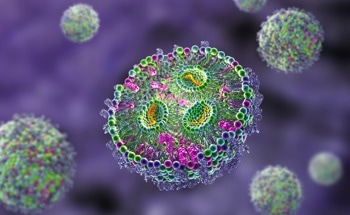 Nanodiscs: What Are They and How Are They Shaping the Future of Medicine?