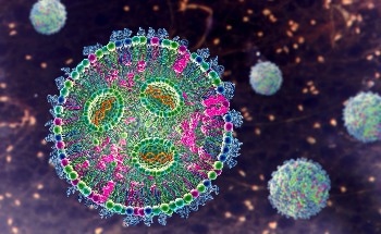 Understanding Lipid-Based Carriers: Differences Between Lipid Nanoparticles and Liposomes