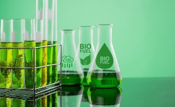 The Role of Nano-Catalysts in Biofuel Production