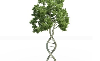 The Role of Nanotechnology in Plant Genome Editing