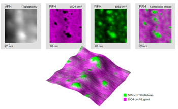 New Capabilities in Nanoscale Spectroscopy with PiF-IR