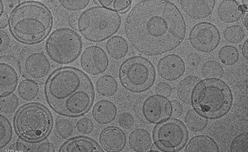 How Do Nanoparticles Target Tumors?