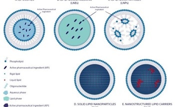 Overcoming the Limits of Traditional DLS in Lipid-Based Nanoparticle Manufacturing