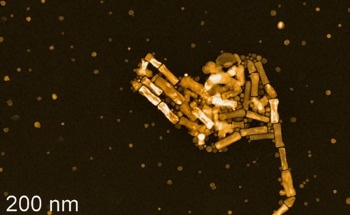 Policy, Safety, and Regulation in the Age of Nanotechnology