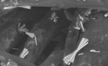 What are One-Dimensional Nanomaterials?