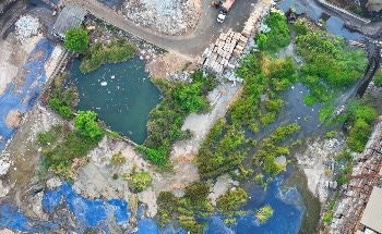 The Potential (and Limits) of Nanotechnology in Environmental Remediation