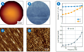 Advanced BioAFM Solutions for Cosmetic and Healthcare Innovation