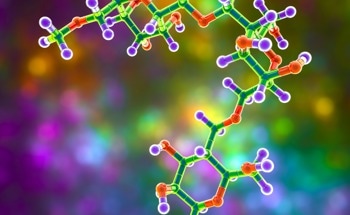 What are the Different Types of Nanocomposites?