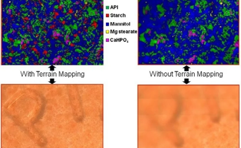 Raman Imaging on Irregular Surfaces