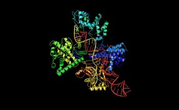 Duke University Engineers Create Nanobrushes and Other Smart Nanostructures - New Technology